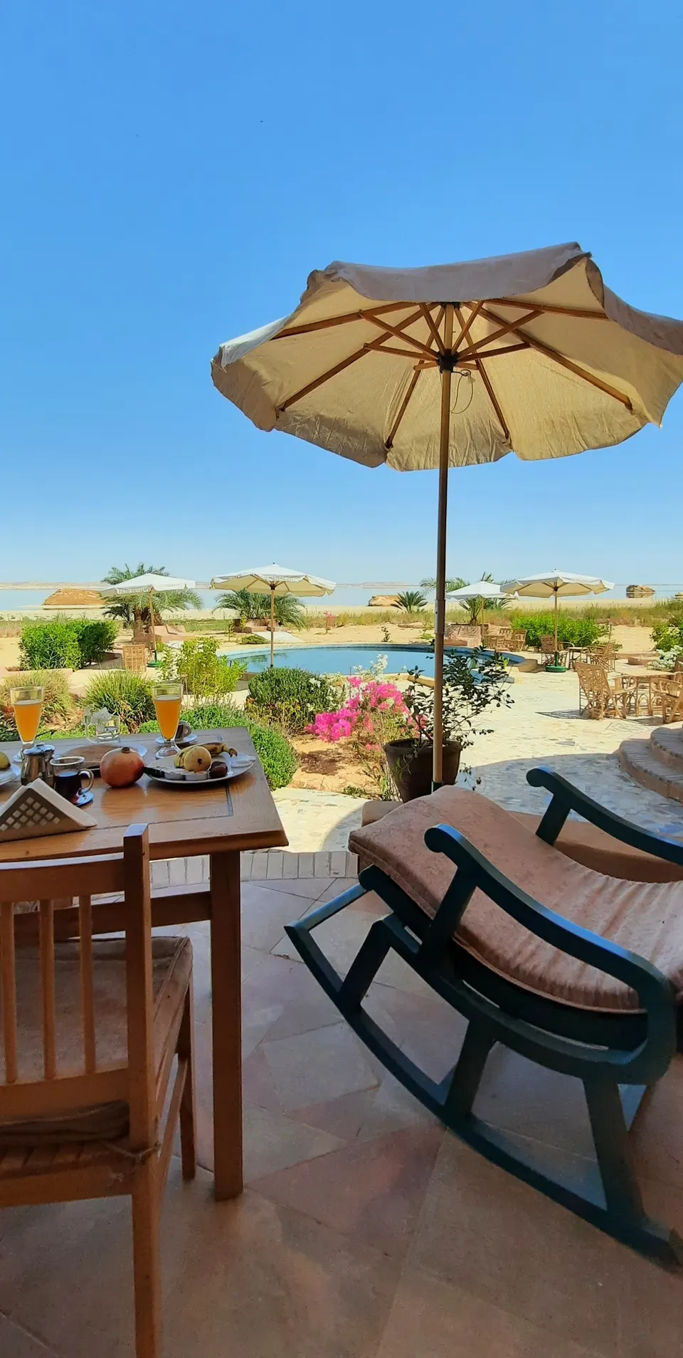 A shaded terrace with a chair and garden view · Suite
