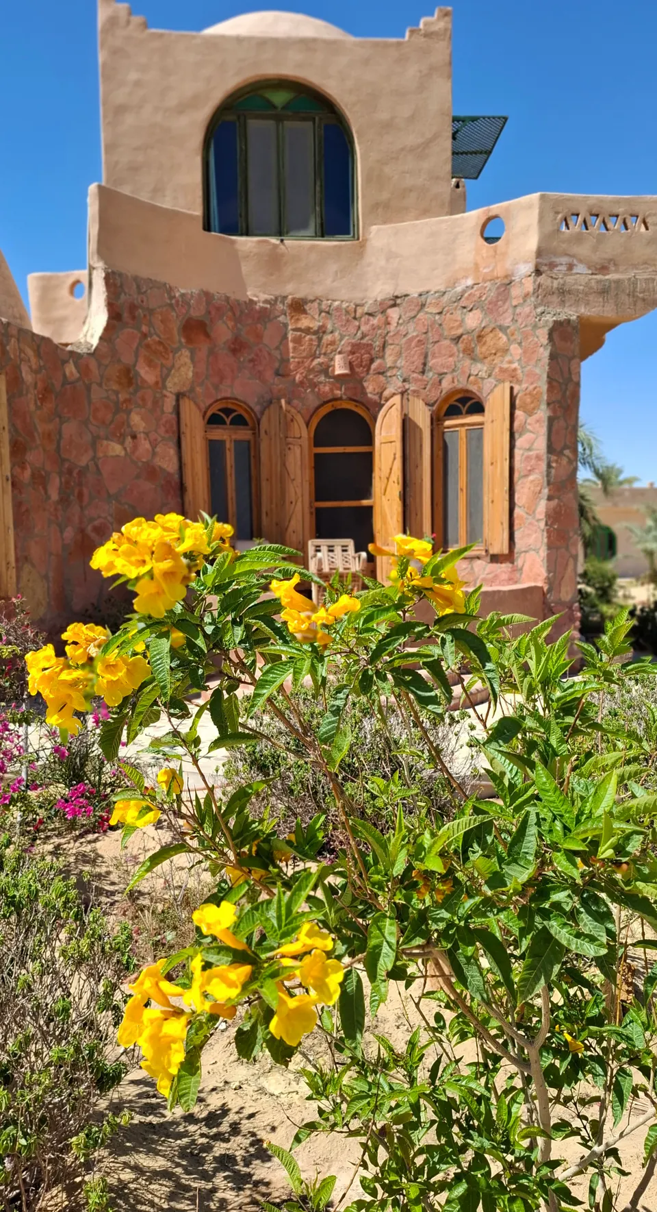 Yellow bells flowering in front of the lodge’s stone façade and arched windows