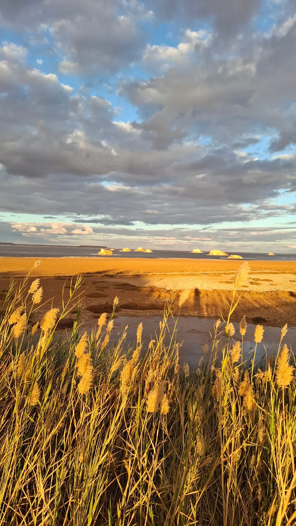 Golden reeds beside the lake under a wide, cloud-filled sky