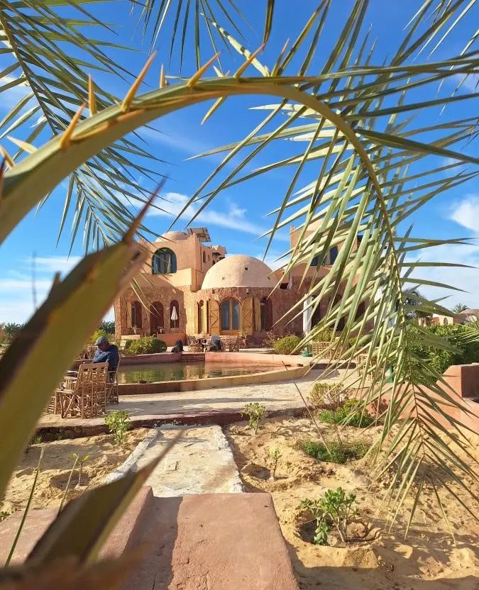 The lodge framed by palm leaves